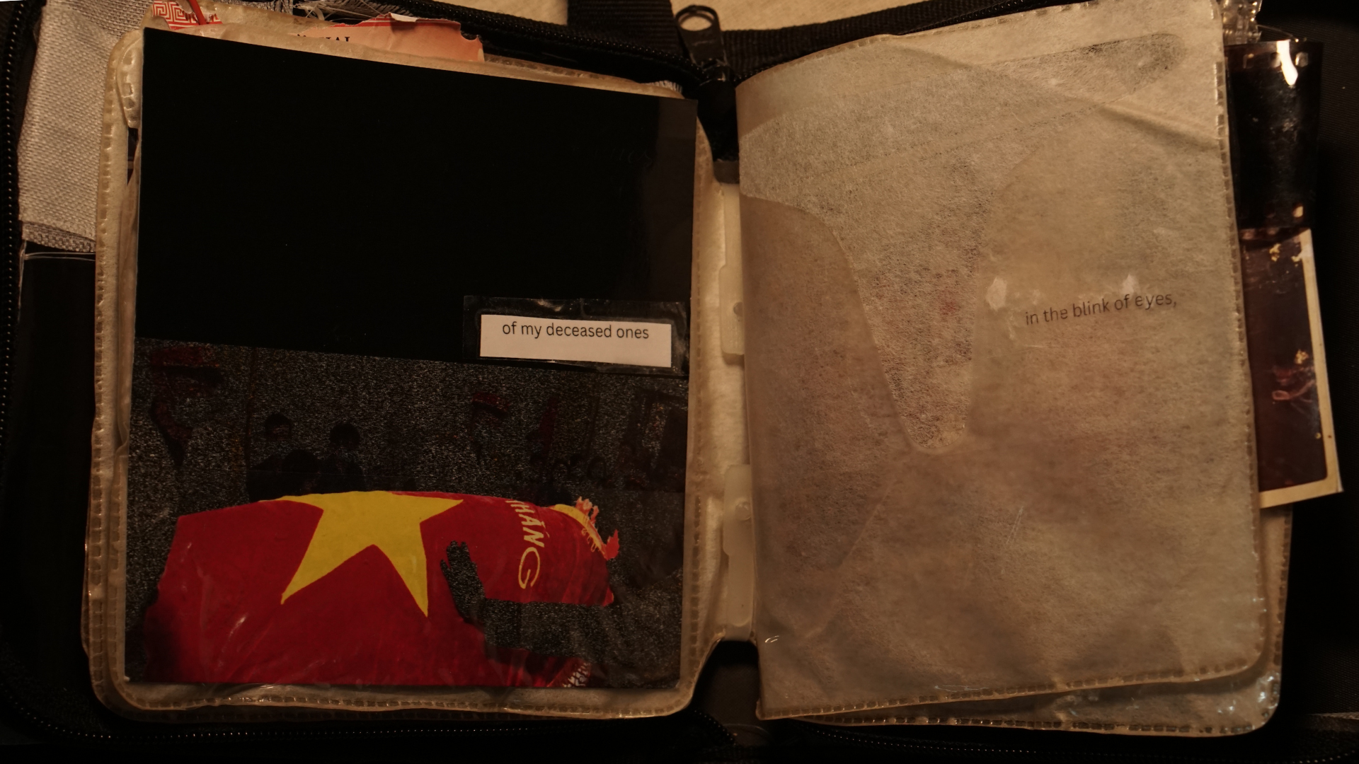 (signed) This Is Not What Thought / Yuri Hasegawa